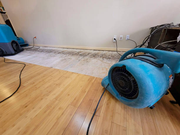 Reliable Burst Pipe Cleanup contractor in Menifee, CA by San Diego Water Damage Company